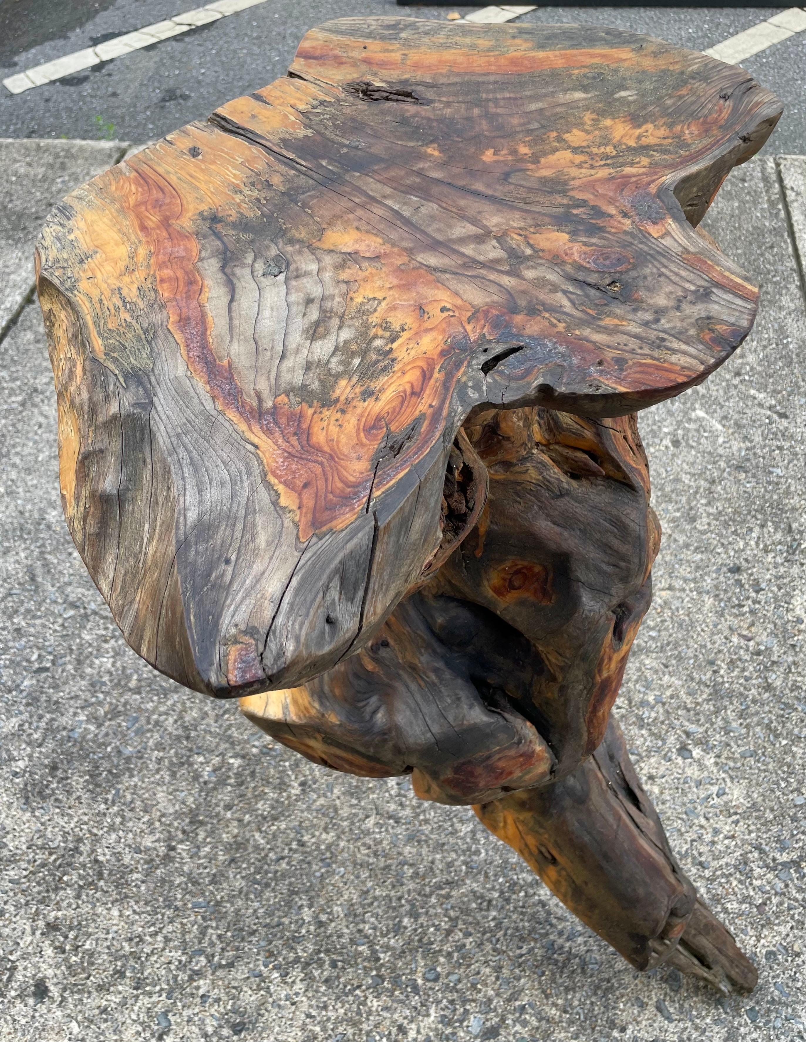 Verni Roots Wood Burlwood Tall Stand Free Form Side Table Organic Pedestal Adirondack en vente