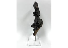 Sculpture en Wood Wood sur base en Lucite dans le style Wabi Sabi