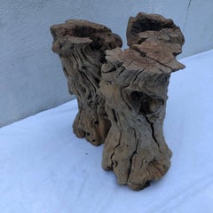 Root Wood Table with Glass Top