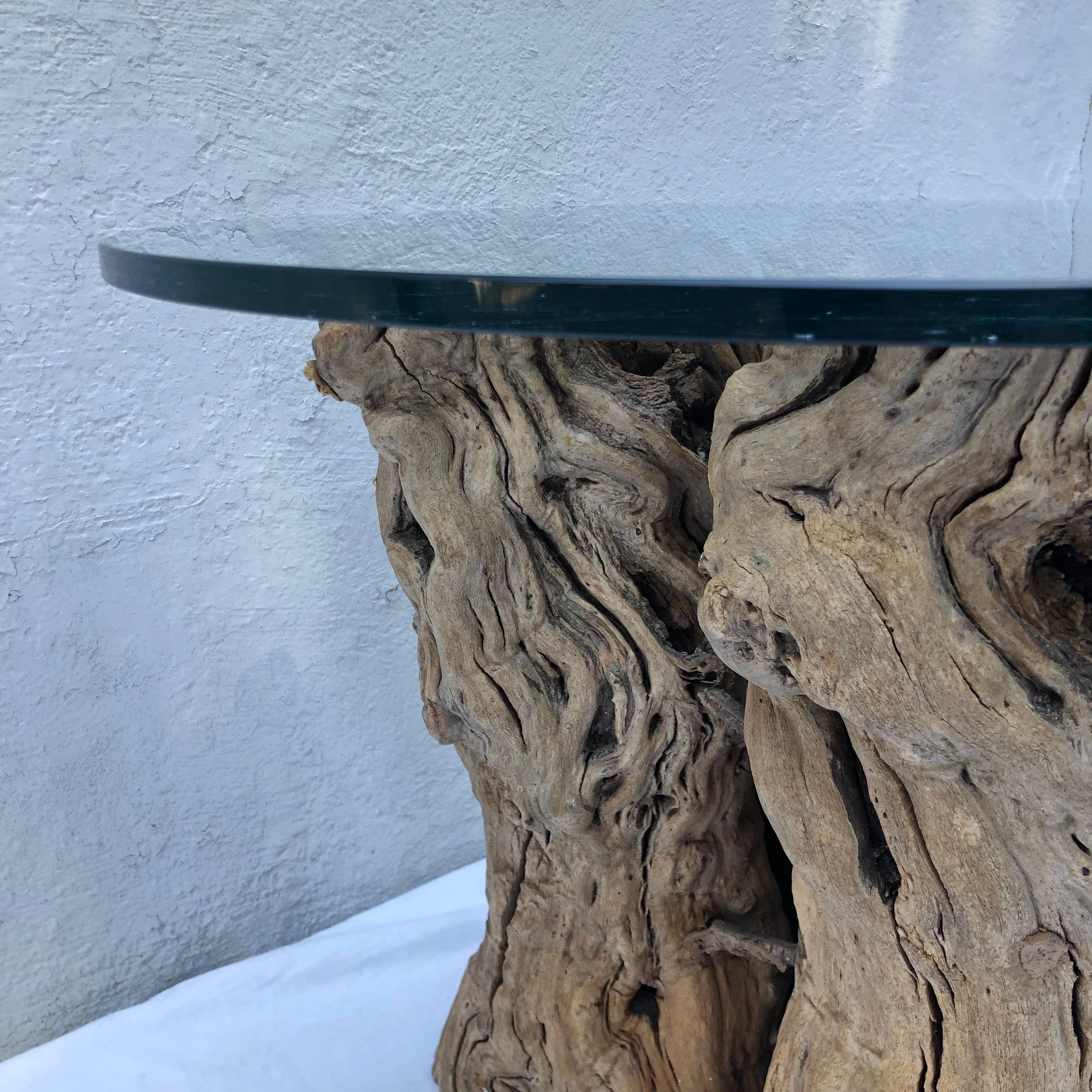Bois Table en bois de racine avec plateau en verre en vente