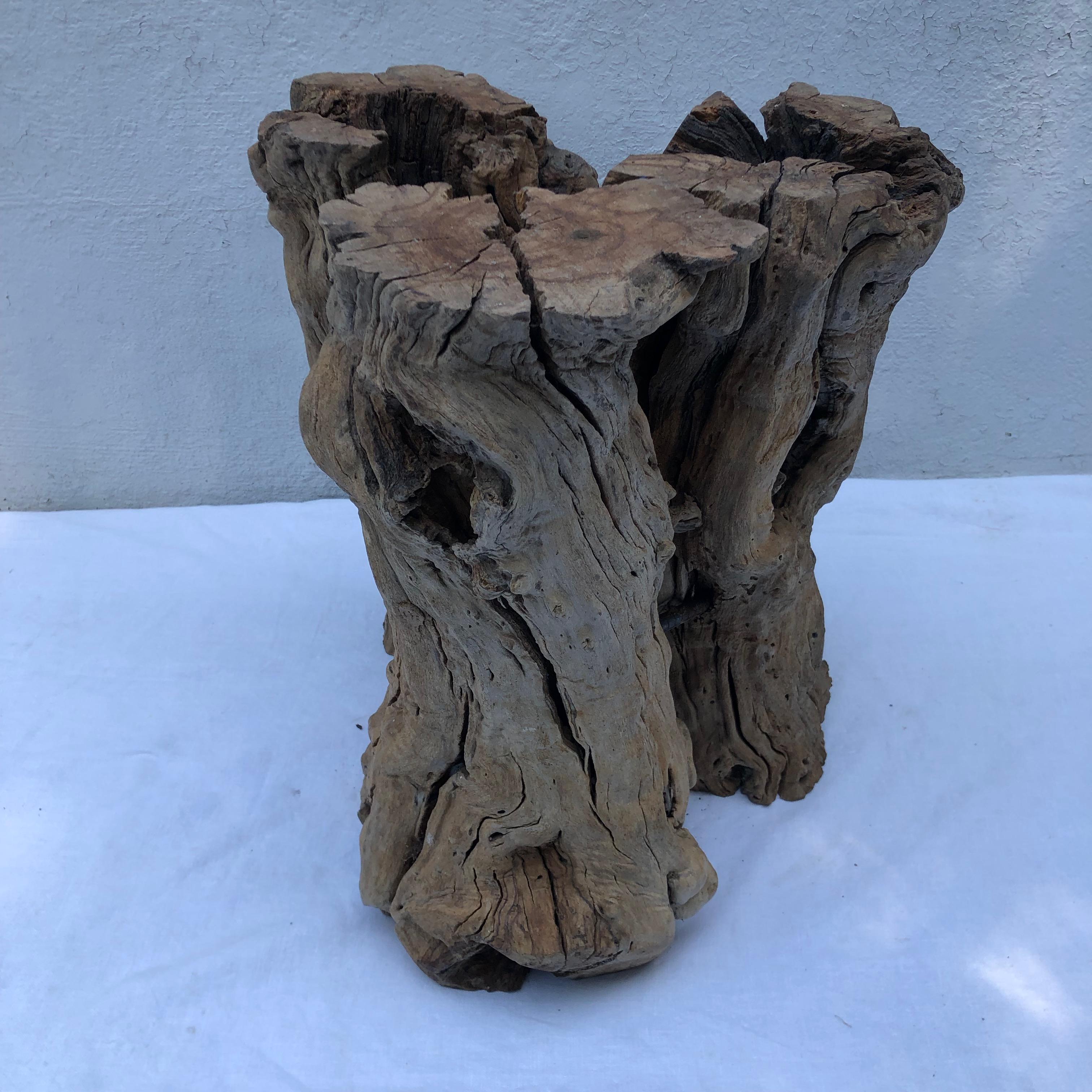 Table Root Wood avec plateau en verre en vente 1