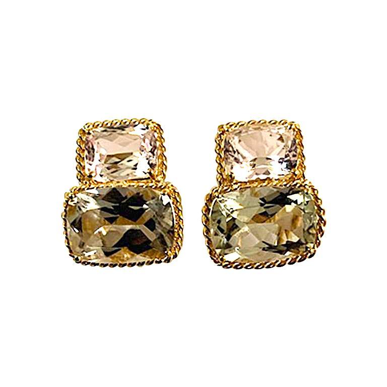 Yellow Gold Two Stone Earring with Rope Twist Border medium size For