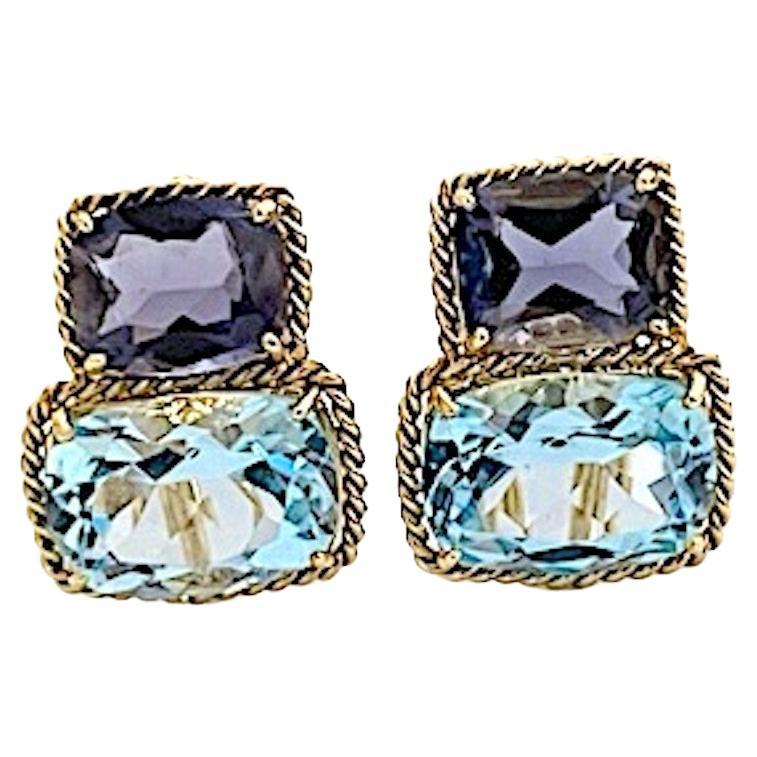 Rope Twist Border Earrings with Iolite and Blue Topaz