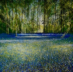 Bluebell Woods – Landschaftsgemälde, original Blumenholzrealismus