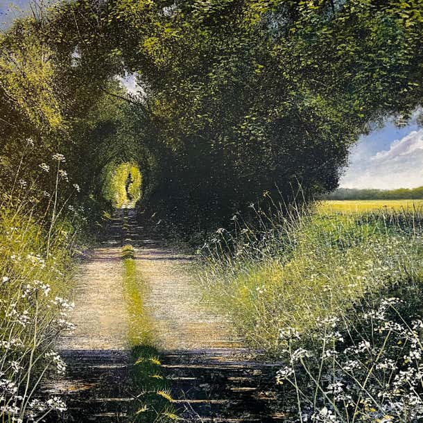 Rory J. Browne - Cow Parsley Path-original realism floral landscape oil ...