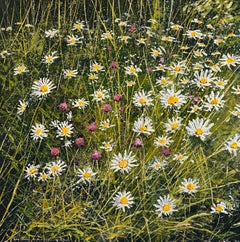 Margherite e cardi -pittura ad olio originale di paesaggio floreale- ARTE contemporanea