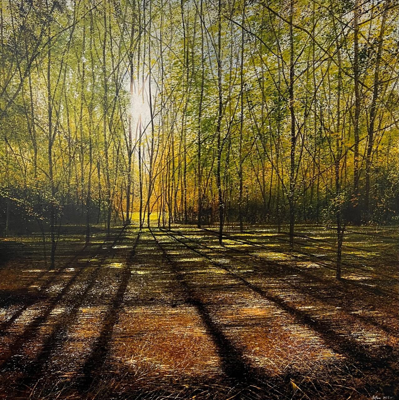Rory J. Browne Landscape Painting - Let us walk in the light - landscape painting British Sunny woodland realism