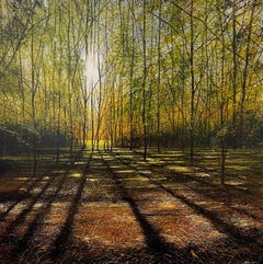 Let us walk in the light - landscape painting British Sunny woodland realism