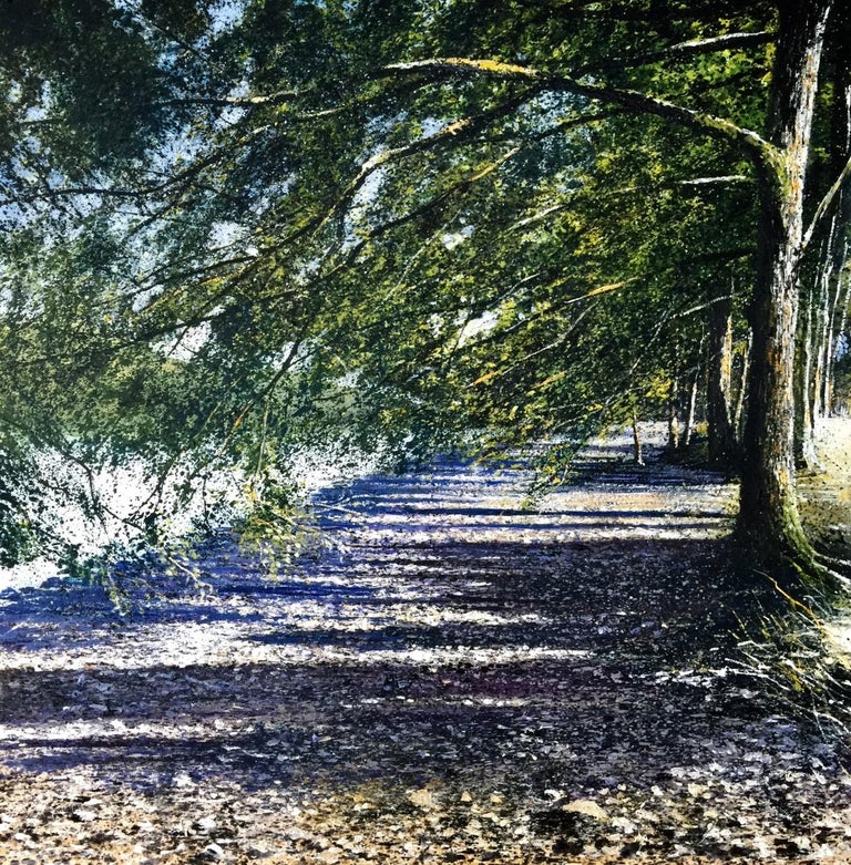 Rory J. Browne - Light Along the Shore - UK landscape forest original ...