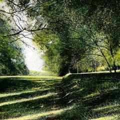 Memories - UK landscape forest original oil painting contemporary