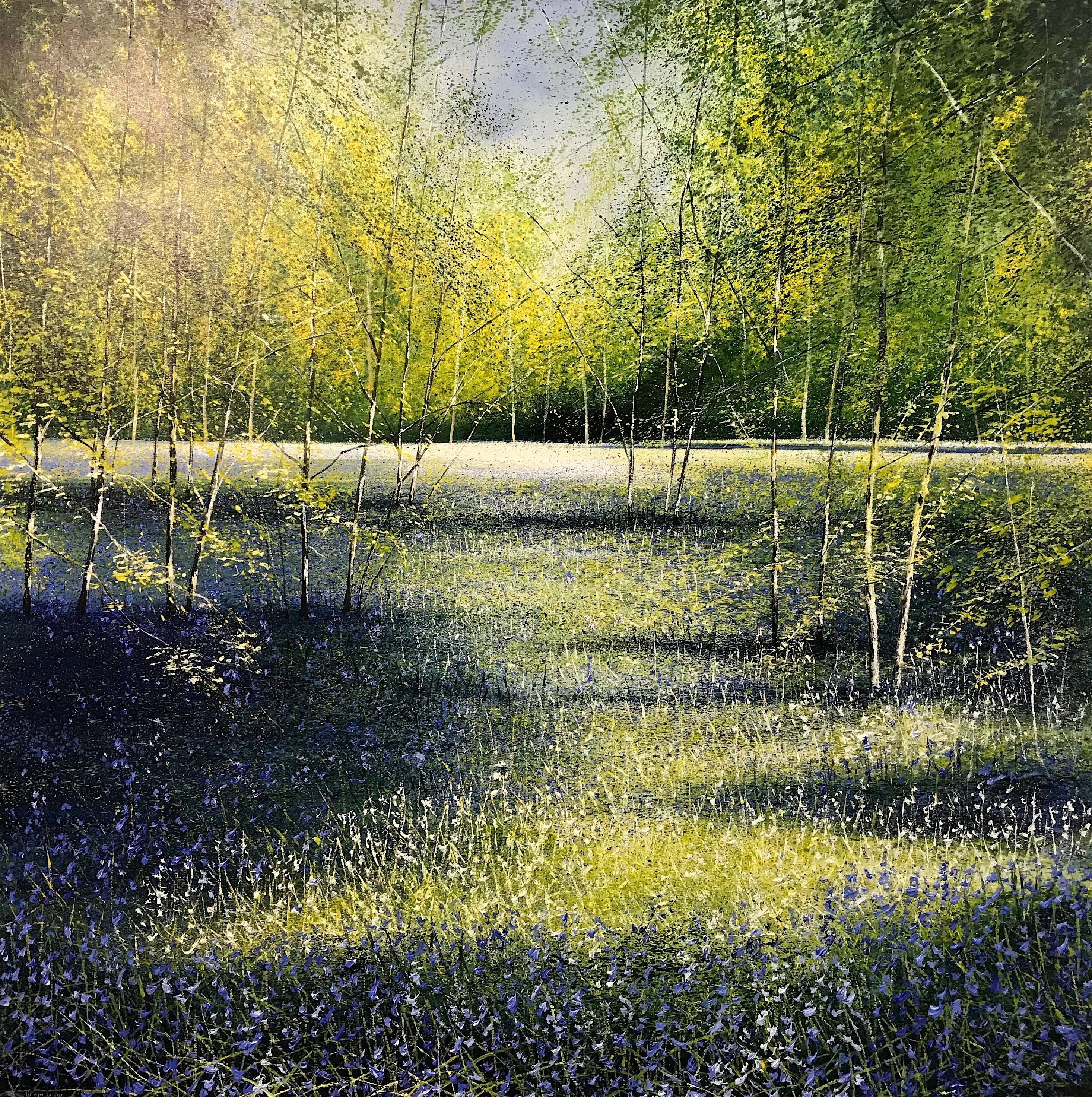 Rory J. Browne Landscape Painting - Shadows and light at Bluebells Forest original landscape painting