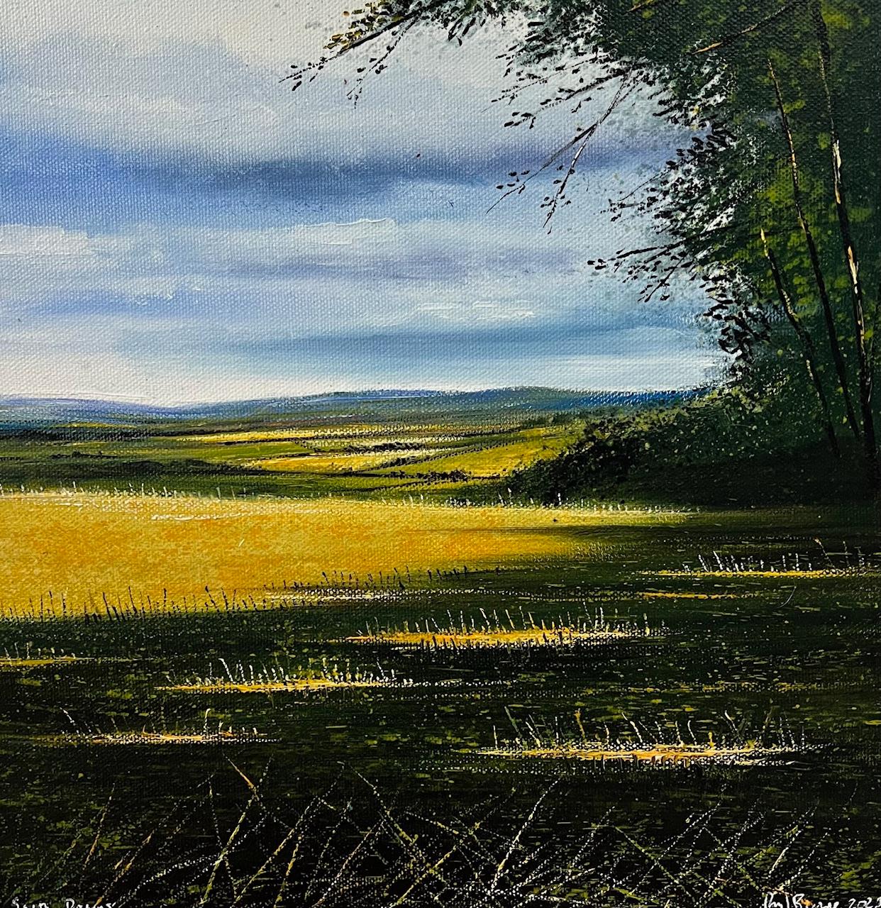 South Downs Oil Painting, Impressionist Landscape, 40x40 cm, Signed
