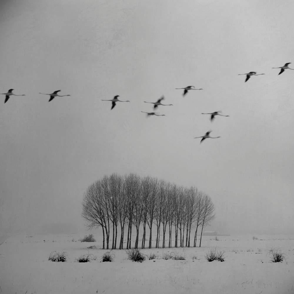 Blanco 3 – Weiße Landschaft, Schneeszene, zeitgenössische Fotografie, minimalistisch