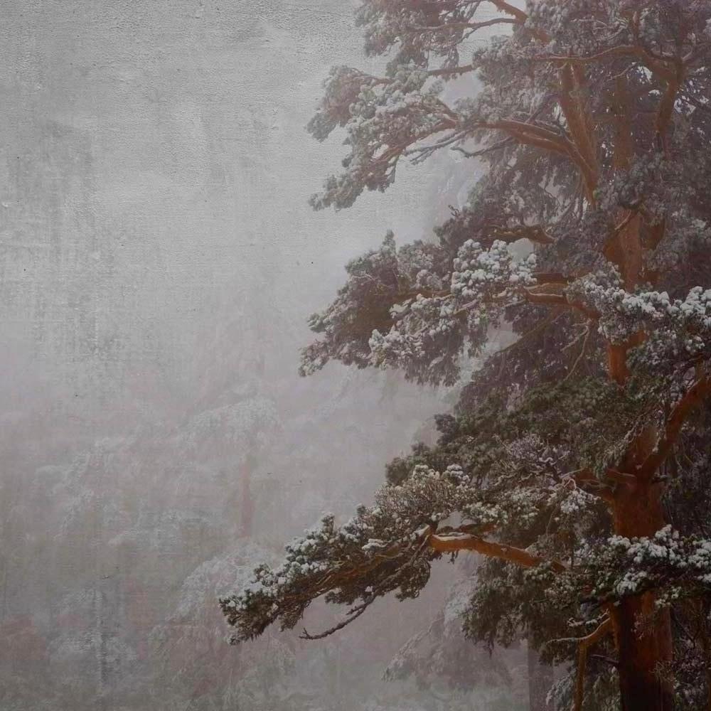 Blanco 5, 2010 - Wintry Asian Snowy Mountain Landscape Photograph