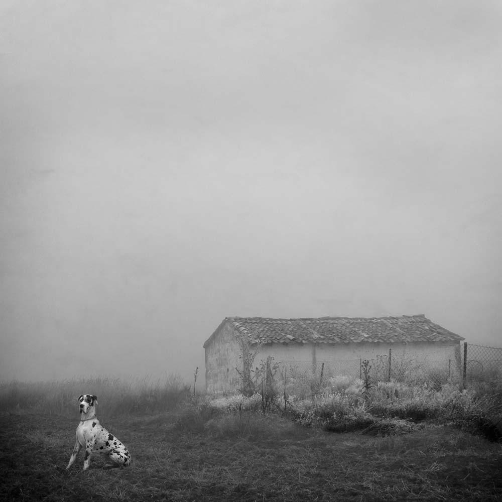 Blanco 6, 2010 - Limited Edition Digital Photographic Print on Cotton paper