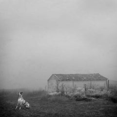 Blanco 6 - White landscape, Snow scene, Nature photography, Dog, Farmhouse