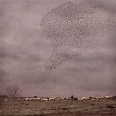 Mirando al cielo 13 - Rosa Basurto, Nature,  Animals, Landscape photography