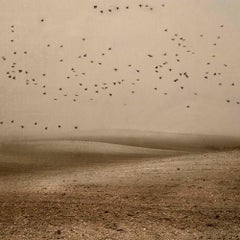 Mirando al cielo 15 - Rosa Basurto, Landscape, Bird photography, Bucolic imagery