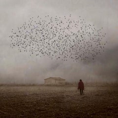 Mirando al cielo 3 - Rosa Basurto, Birds, Flocks, Barn, Abandoned, Portrait