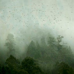 Mirando al Cielo 7  - Rosa Basurto, Weather, Landscape, Nature, Mist, Rainstorm