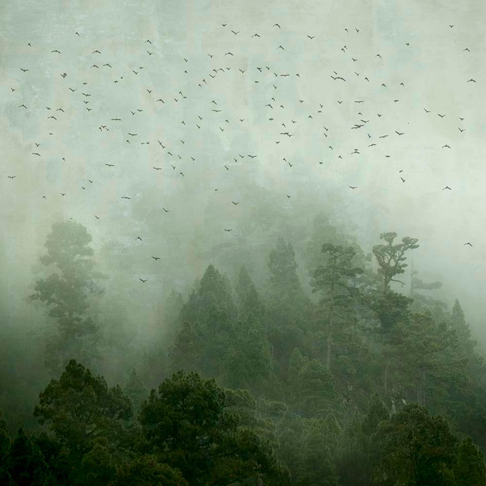 Mirando al Cielo 7  - Rosa Basurto, Weather, Landscape, Nature, Mist, Rainstorm