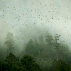 Mirando al Cielo 7  - Rosa Basurto, Tempête, paysage, nature, marée, tempête de pluie