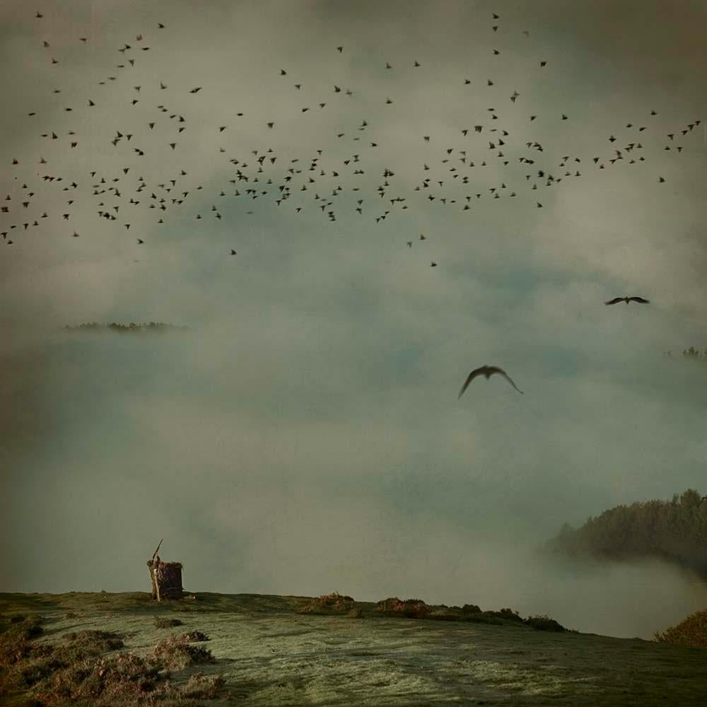 Mirando al Cielo 8 - Impression photographique numérique sur papier de coton