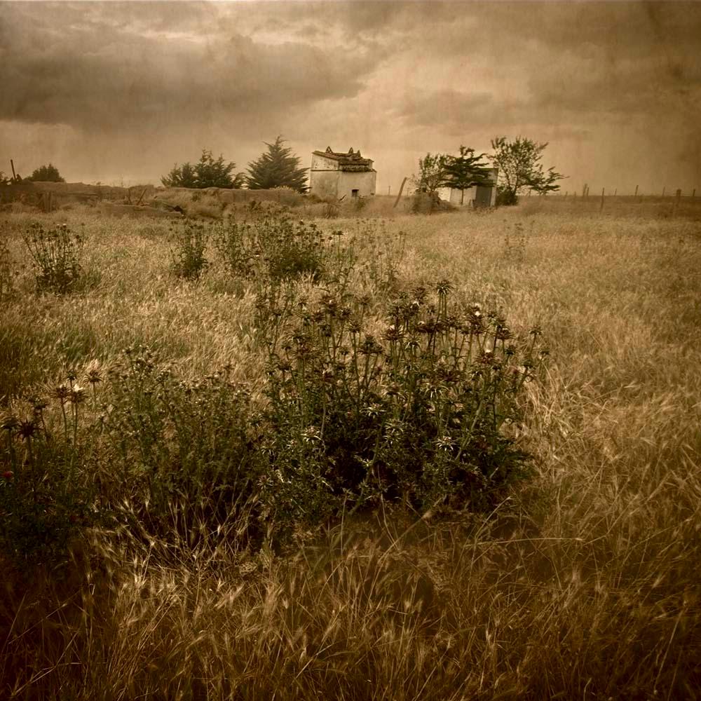 Rosa Basurto Landscape Photograph - Primo Tempo 3 - Nature imagery, Contemporary print, Conceptual photography