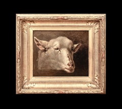 Study Of A Lamb / Sheep Head, 19th Century  French School