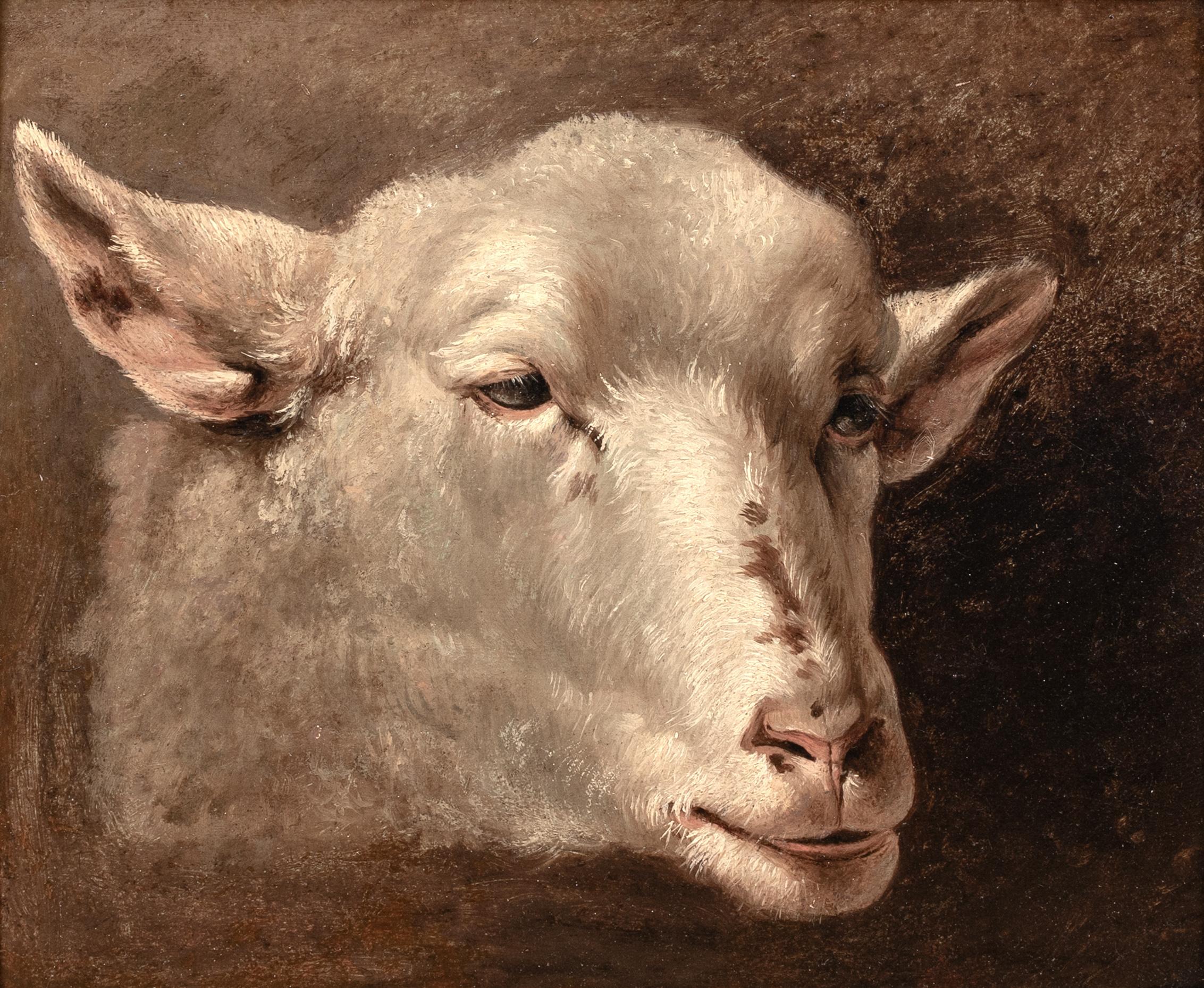 Studie eines Lamm-/Schafkopfes, 19. Jahrhundert  Französische Schule (Beige), Animal Painting, von Rosa Bonheur