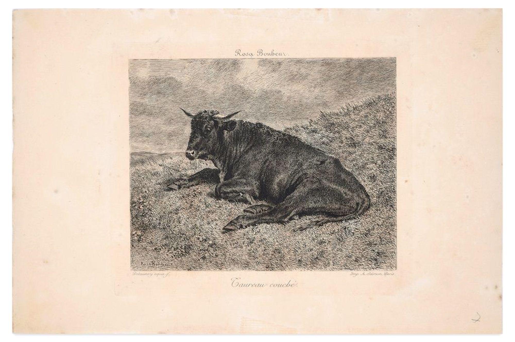 Taureau Couché - Original Etching by R. Bonheur - 1880 - Print by Rosa Bonheur