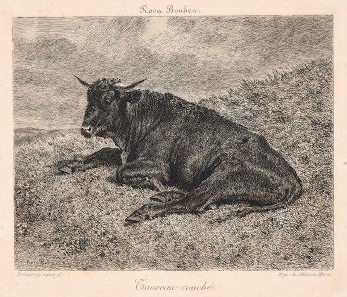 Rosa Bonheur Figurative Print - Taureau Couché - Original Etching by R. Bonheur - 1880