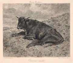 Taureau Couché - Original Etching by R. Bonheur - 1880