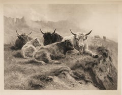 Highland Cattle by Rosa Bonheur lithograph 1890