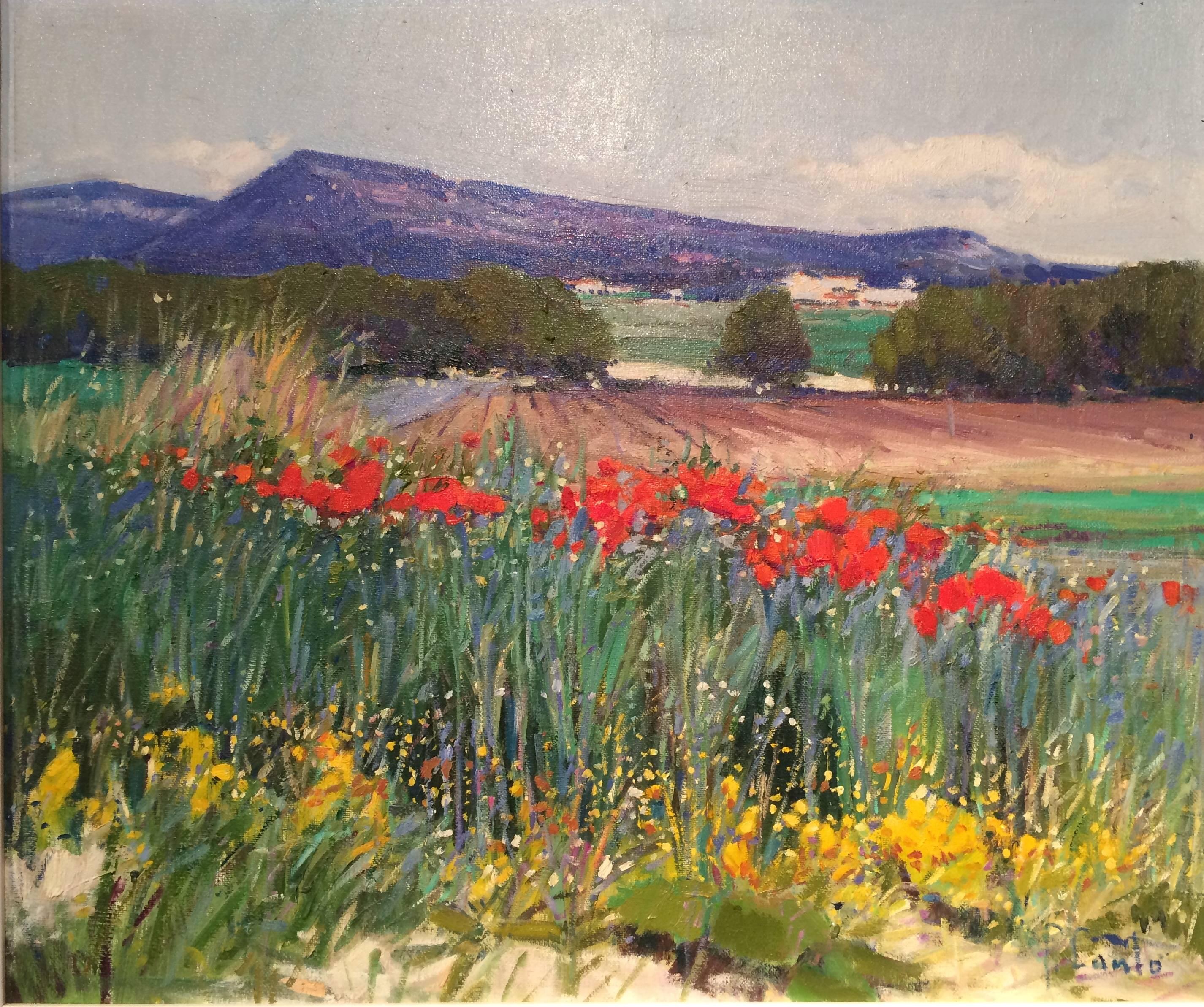 Peinture de paysage contemporaine lumineuse et colorée "Mountain Villa", rouge et vert - Painting de Rosa Canto