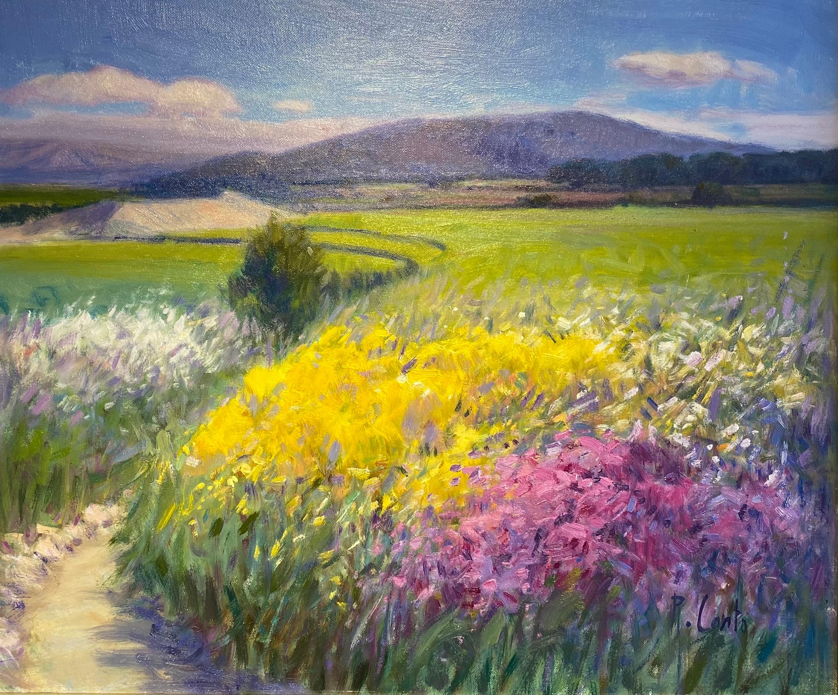 'Winding Path' Contemporary Landscape painting of flowers, mountains, fields  - Painting by Rosa Canto