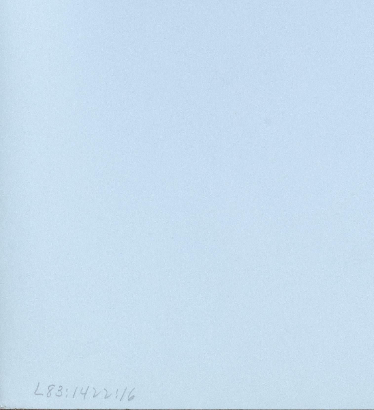 Rosalind Solomon 1982 fotografia di Midnapur, Bengala Occidentale in vendita 5