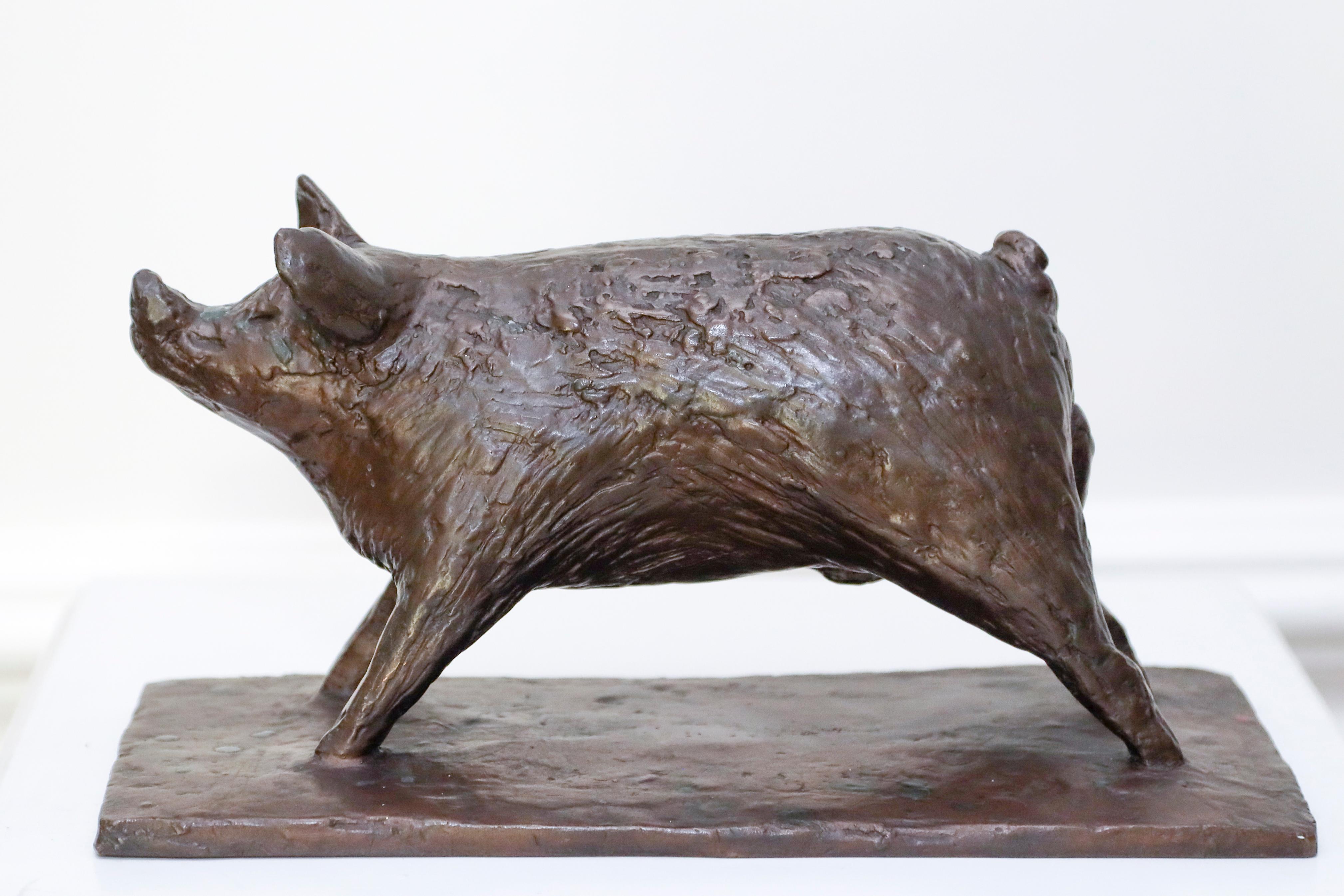 A lovely bronze sculpture of a Boar, or Pig, nose up.  The artist, who died at age 98, worked with some of most notable sculptors of her time.  She sculpted along side Elizabeth Frink, studied under Bernard Meadows, who in turn worked with Henry