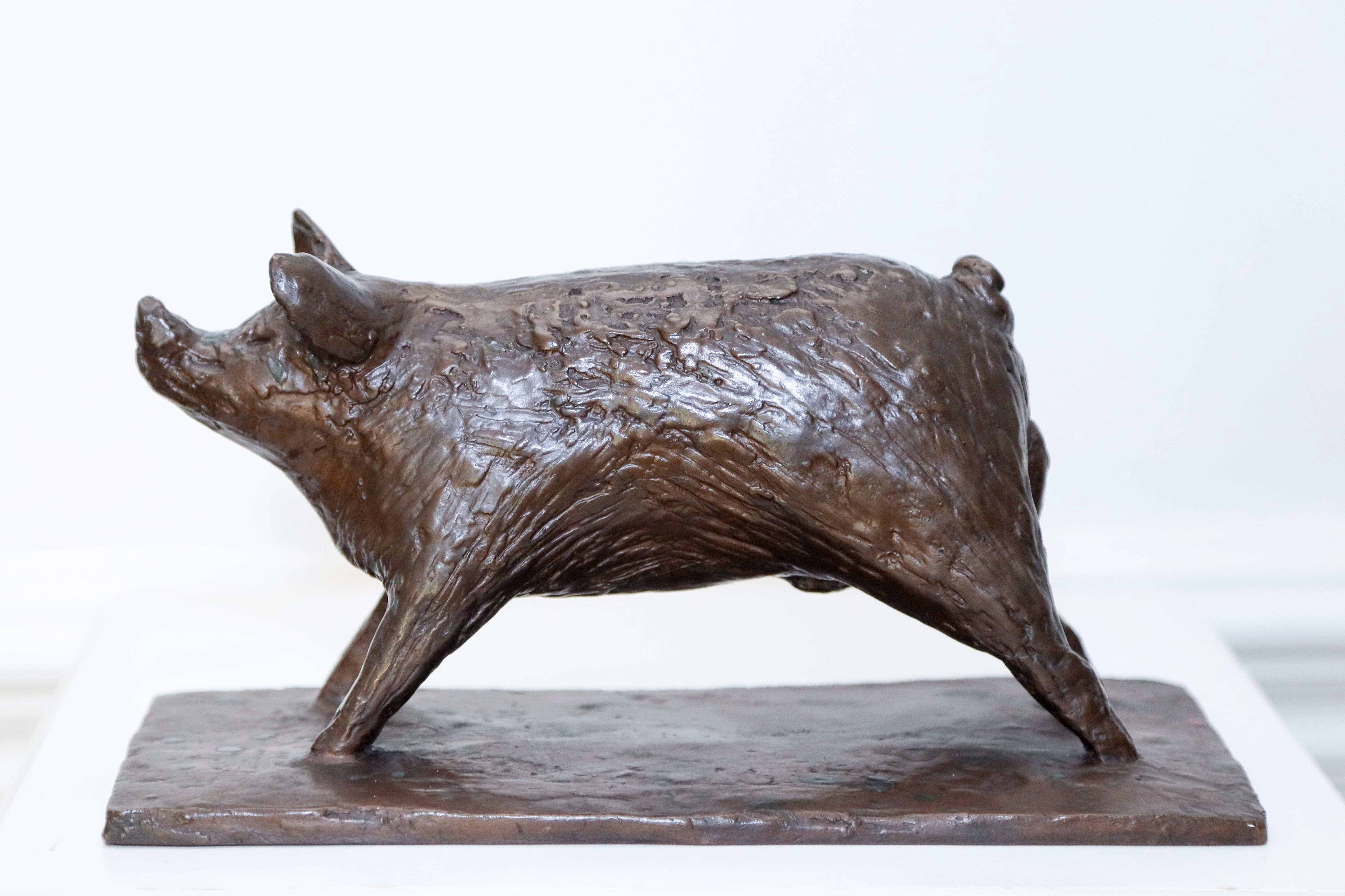 A Bronze Sculpture of a Young Boar  ( sculpture of a pig) For Sale 1