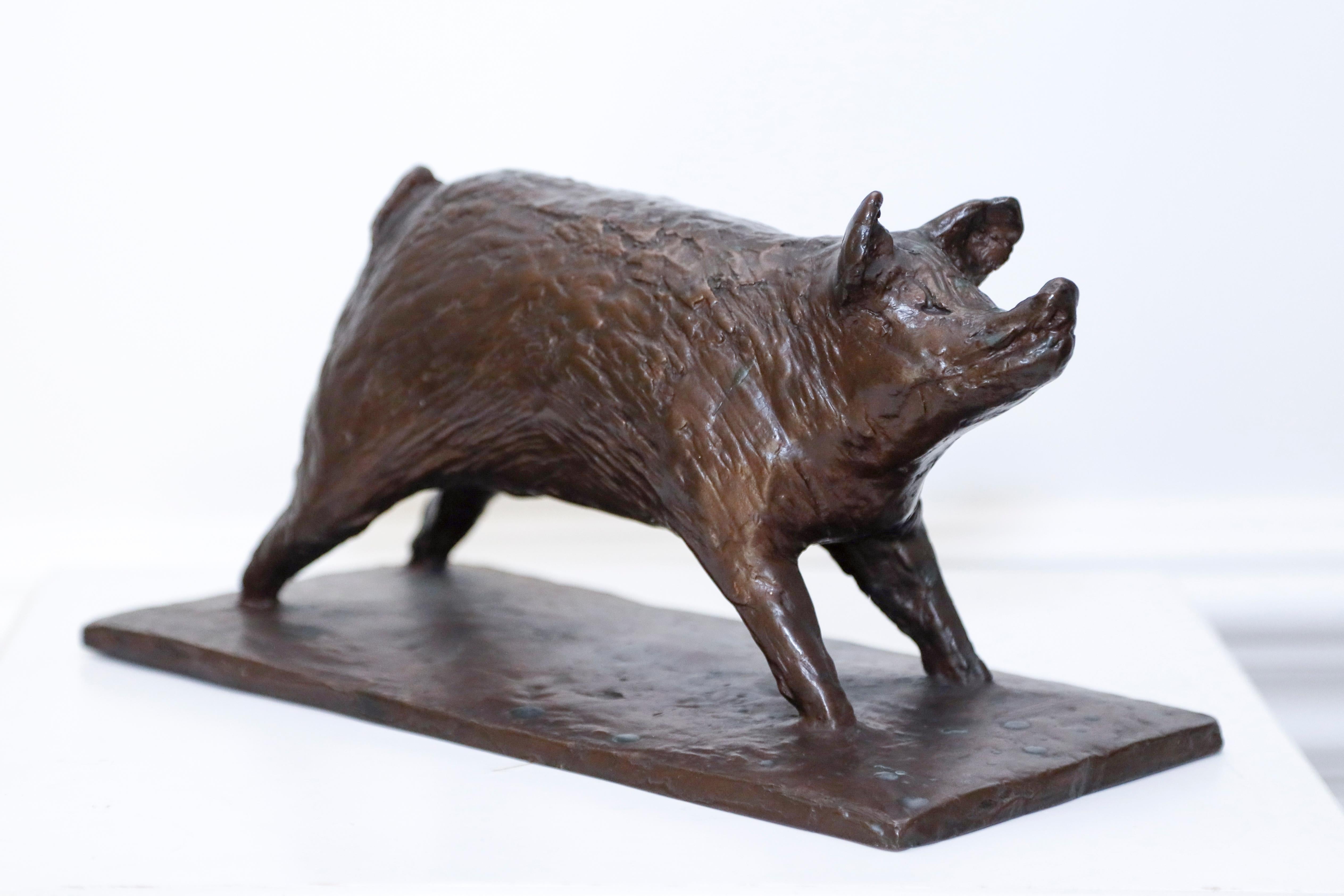 A Bronze Sculpture of a Young Boar  ( sculpture of a pig) For Sale 1