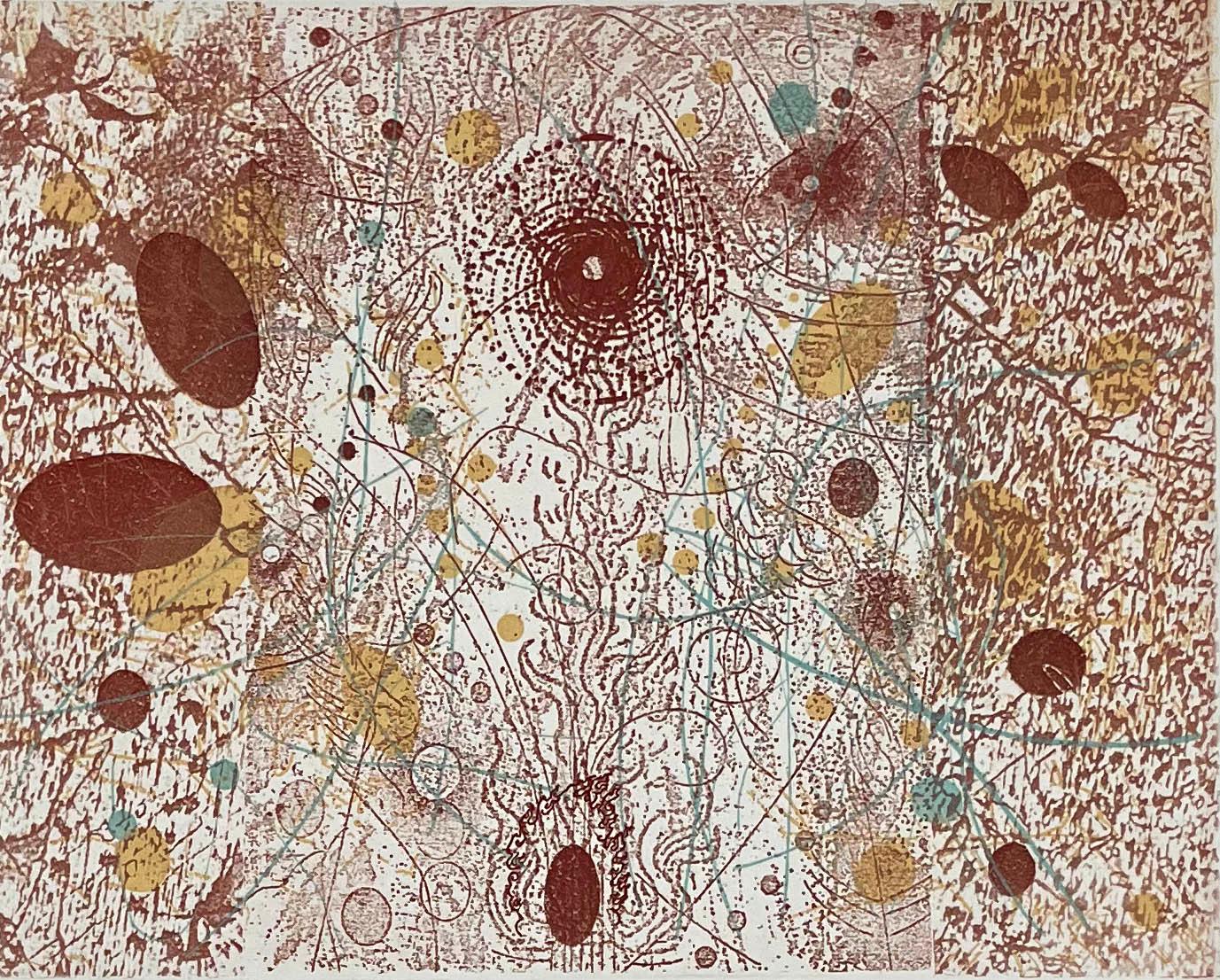 Signed, titled and numbered by the artist. Edition of 10.

Rosalyn Richards has been a member of the Bucknell University art faculty since 1982. Images from particle physics, satellite photography, biotechnology, radiology, geological survey maps,