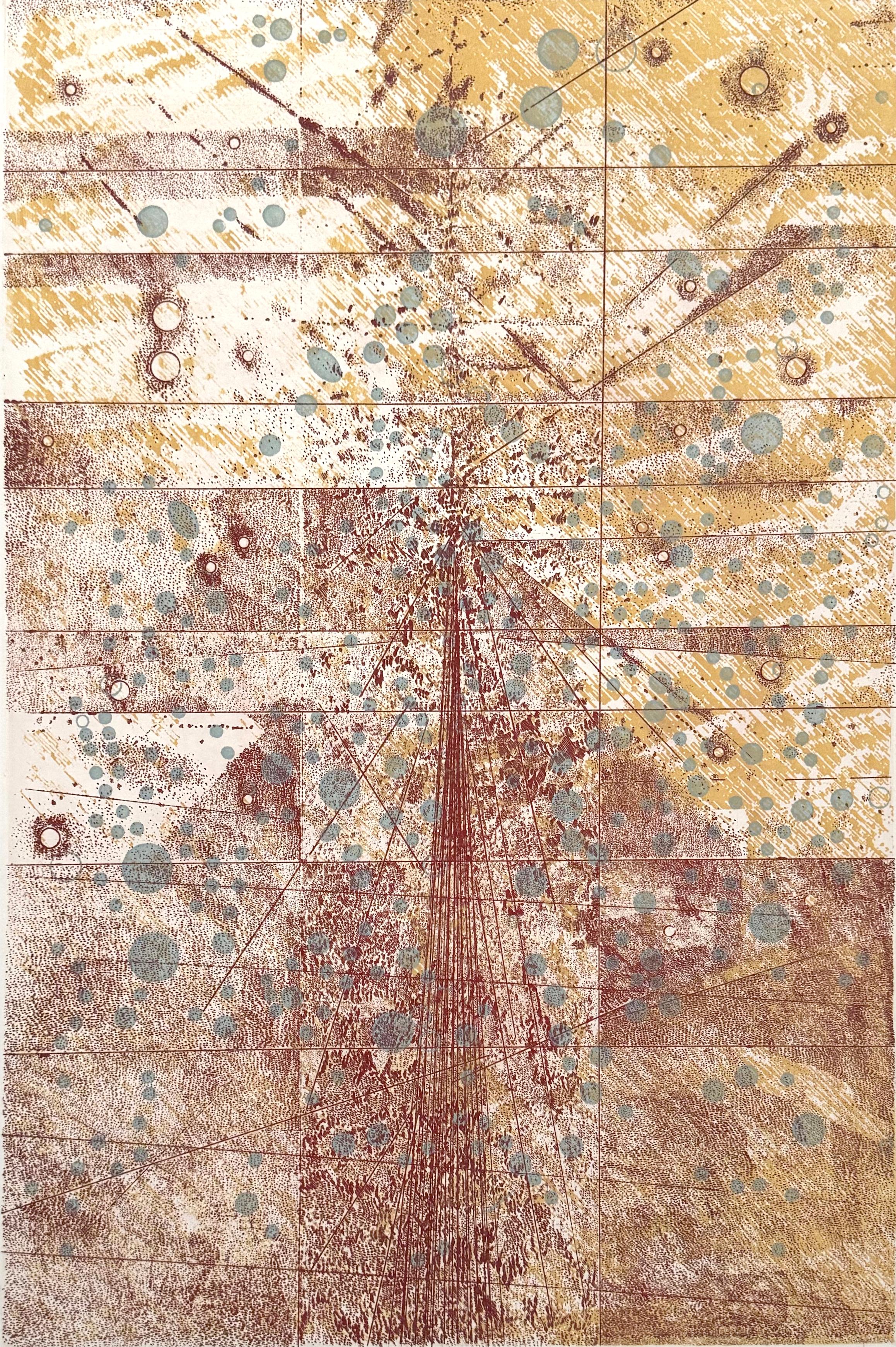 Signed, titled and numbered in pencil by the artist. Edition of 10.

Rosalyn Richards has been a member of the Bucknell University art faculty since 1982. Images from particle physics, satellite photography, biotechnology, radiology, geological