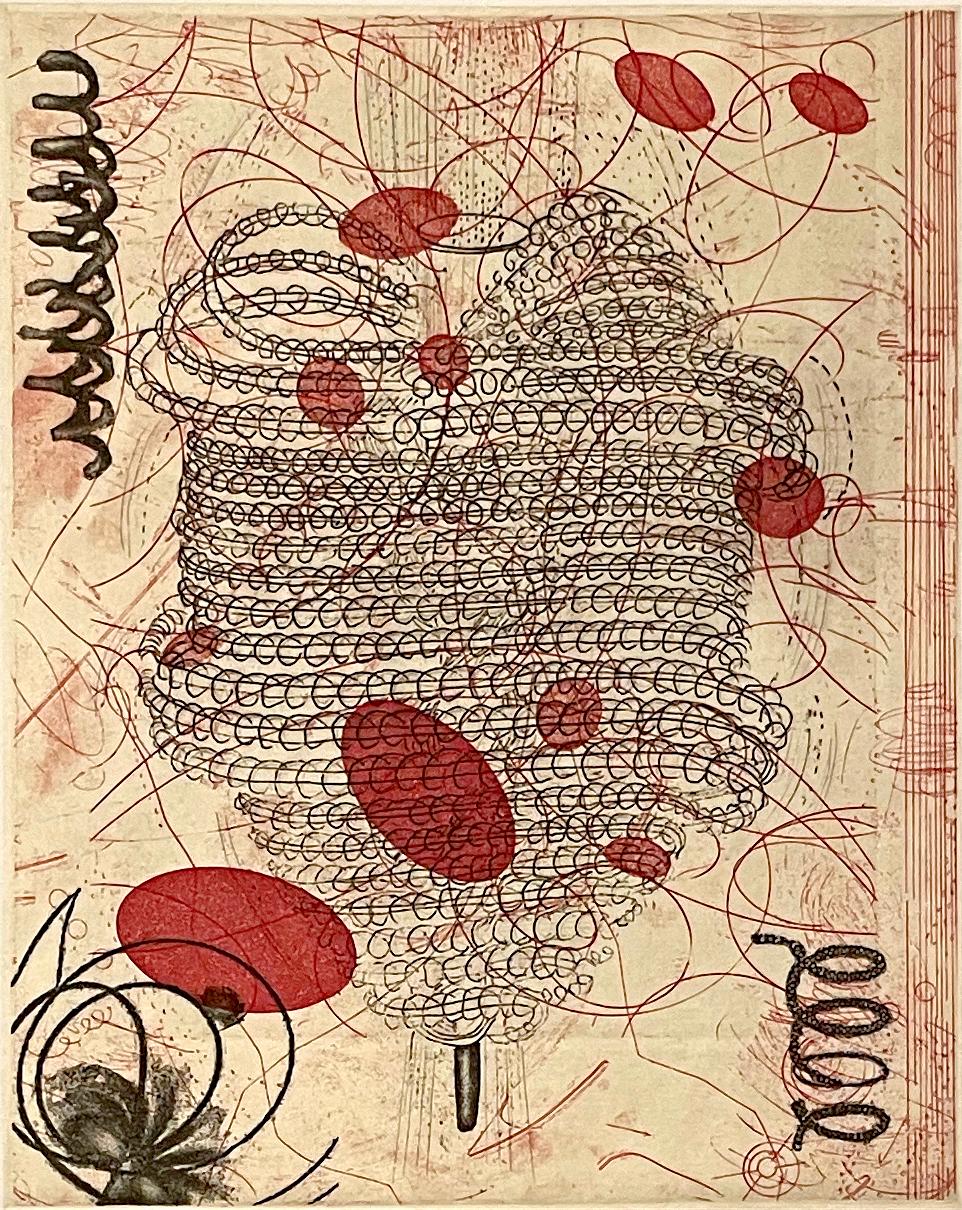 Signed, titled and numbered by the artist. 

Rosalyn Richards has been a member of the Bucknell University art faculty since 1982. Images from particle physics, satellite photography, biotechnology, radiology, geological survey maps, have all served