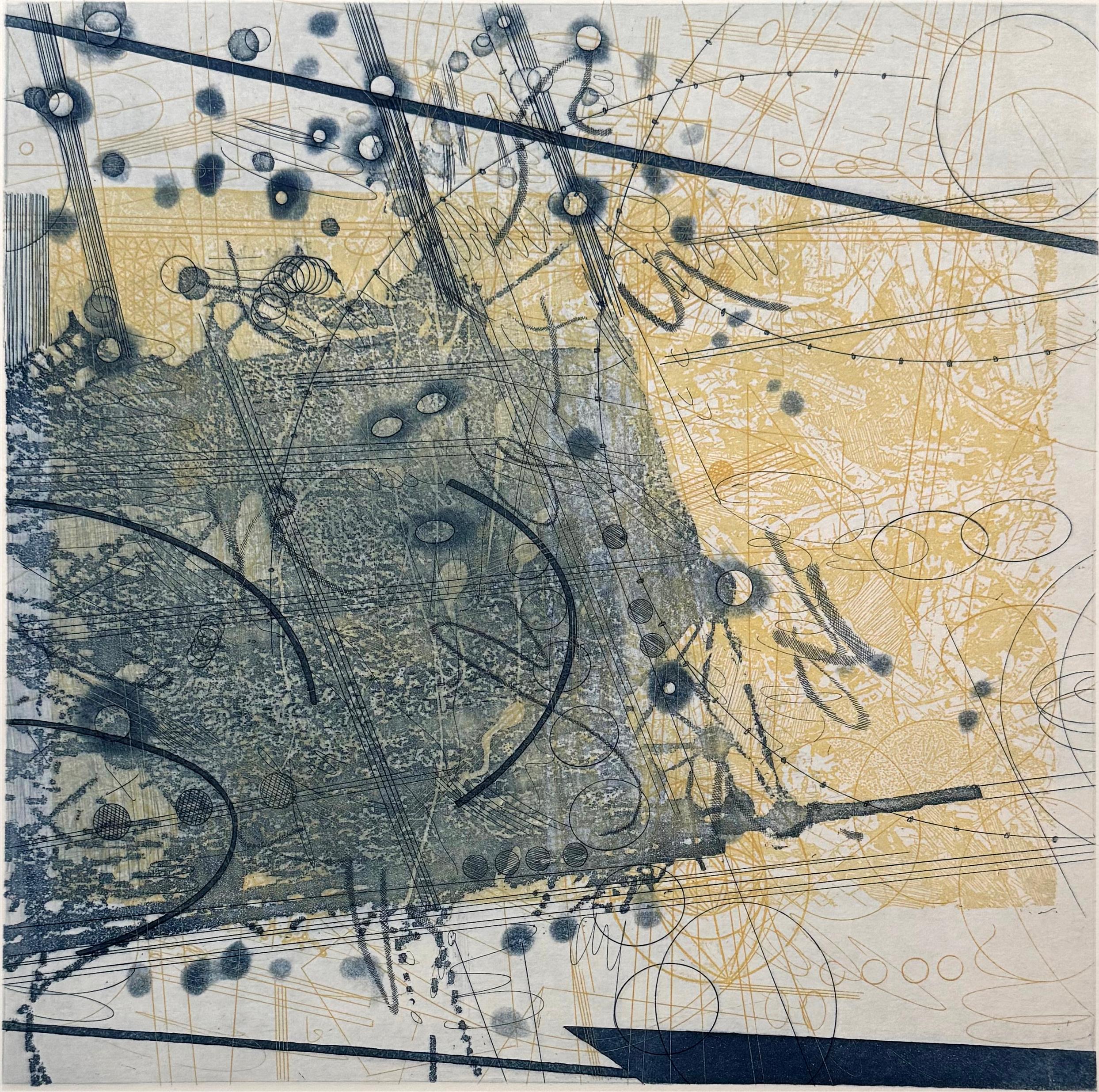 Mit Bleistift signiert, betitelt und nummeriert, Nr. 2 aus der Auflage von 10.

Rosalyn Richards ist seit 1982 Mitglied der Kunstfakultät der Bucknell University. Bilder aus der Teilchenphysik, der Satellitenfotografie, der Biotechnologie, der