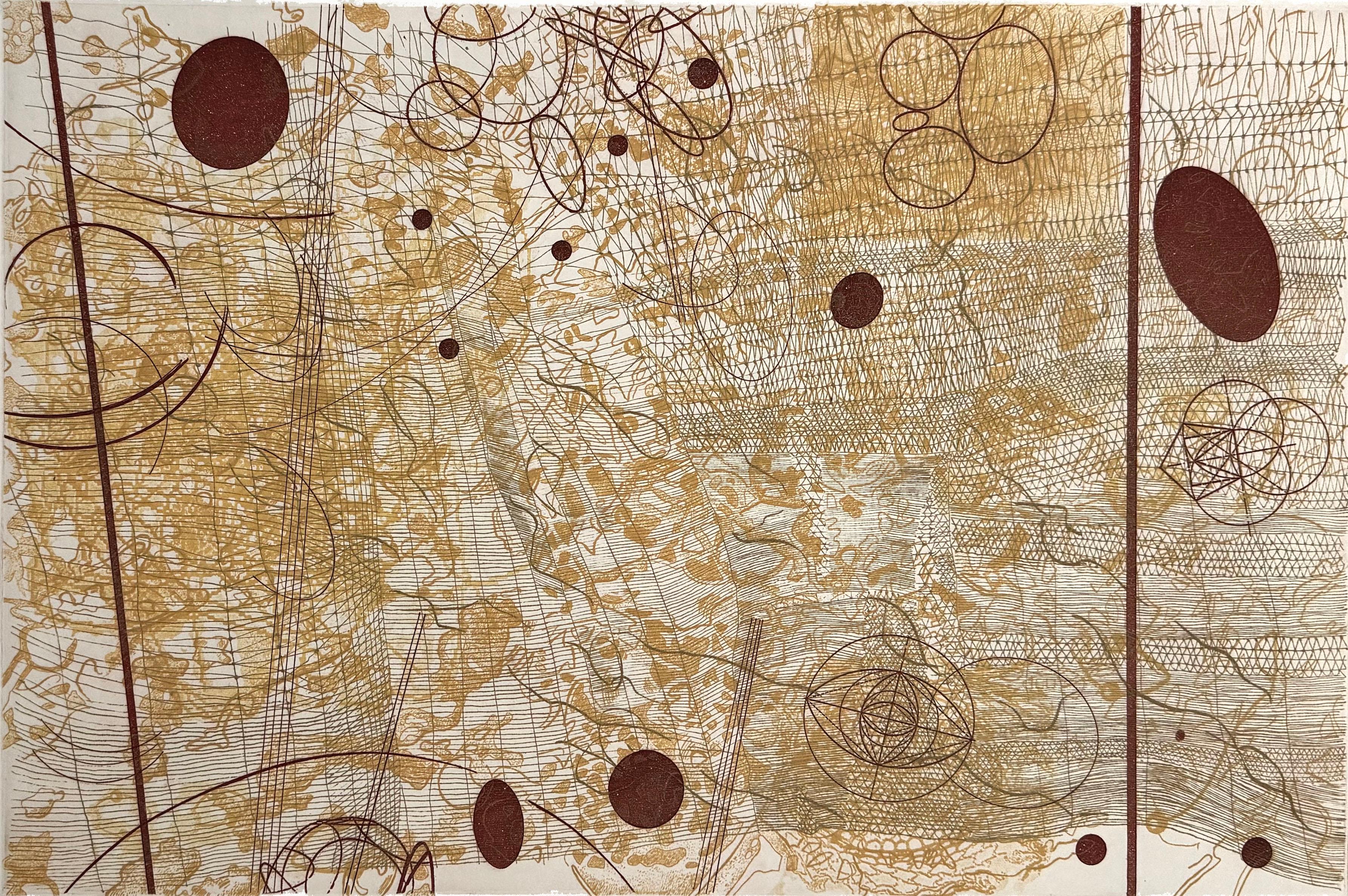 Signed, titled and numbered, edition of 7. 

Rosalyn Richards has been a member of the Bucknell University art faculty since 1982. Images from particle physics, satellite photography, biotechnology, radiology, geological survey maps, have all served