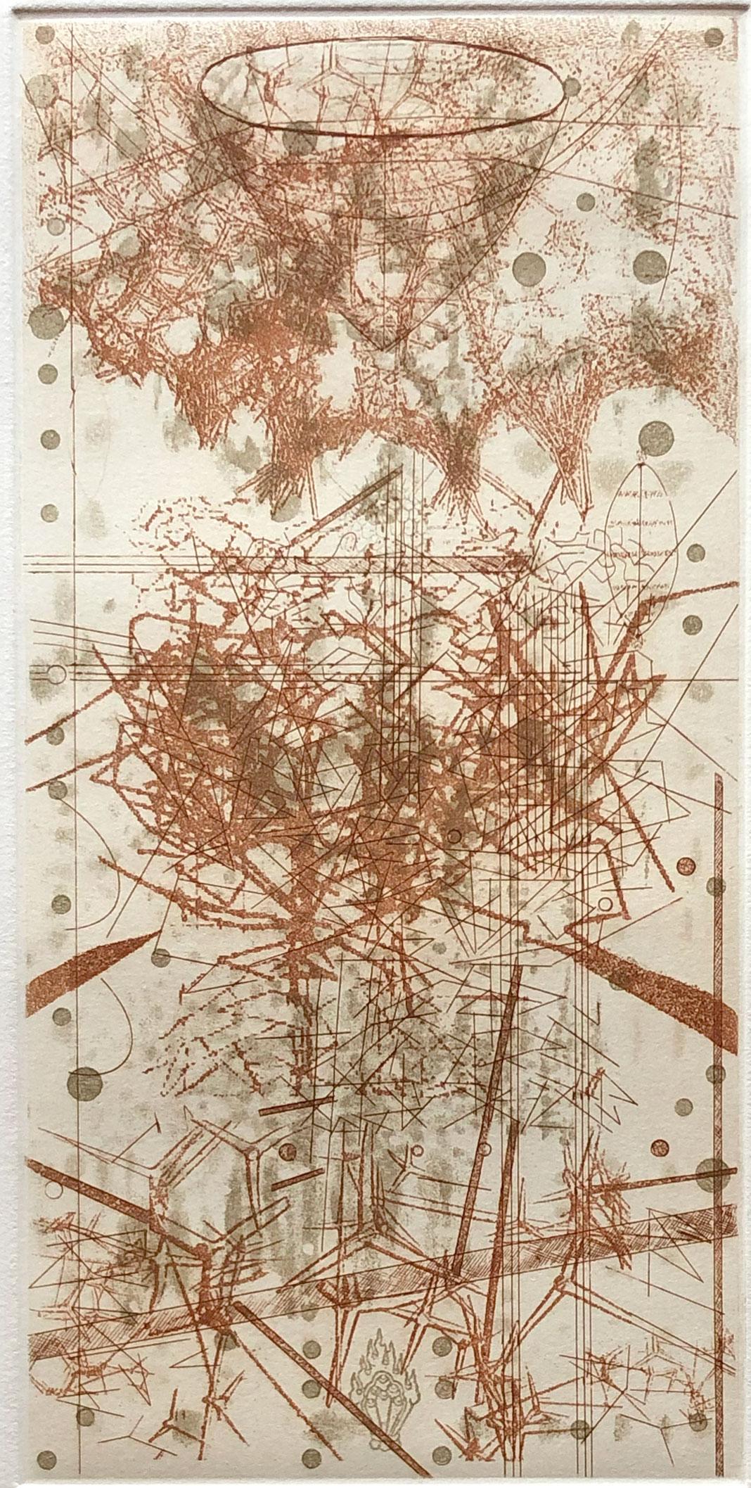 Medium: Etching with aquatint
Image: 11.88 x 5.88 inches
Edition of 15
Year: 2013

Images from particle physics, satellite photography, biotechnology, radiology, and geological survey maps, have all served as influences on Richards' work. She uses