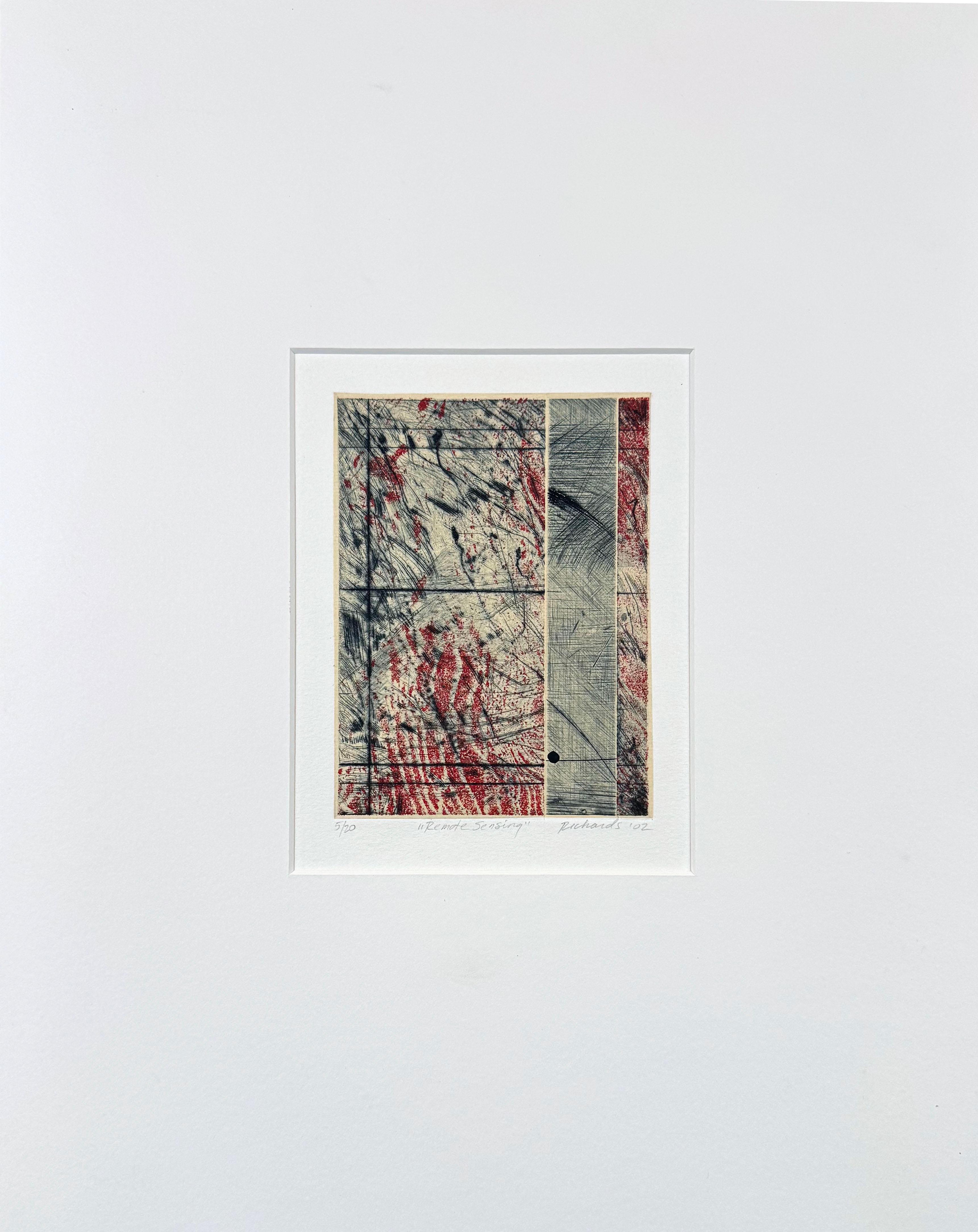 Remote Sensing, by Rosalyn Richards For Sale 1