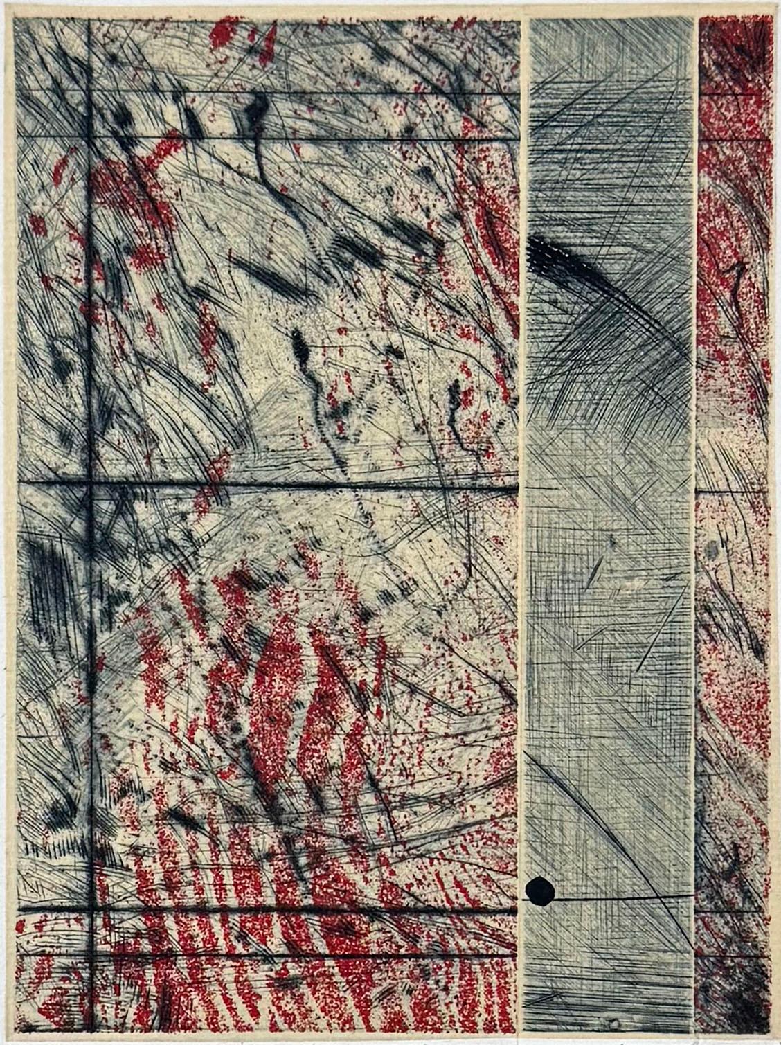 Medium: Etching with aquatint. 
Signed, titled, numbered by the artist
Image Size: 5.75 x 4.25

Images from particle physics, satellite photography, biotechnology, radiology, and geological survey maps, have all served as influences on Richards'