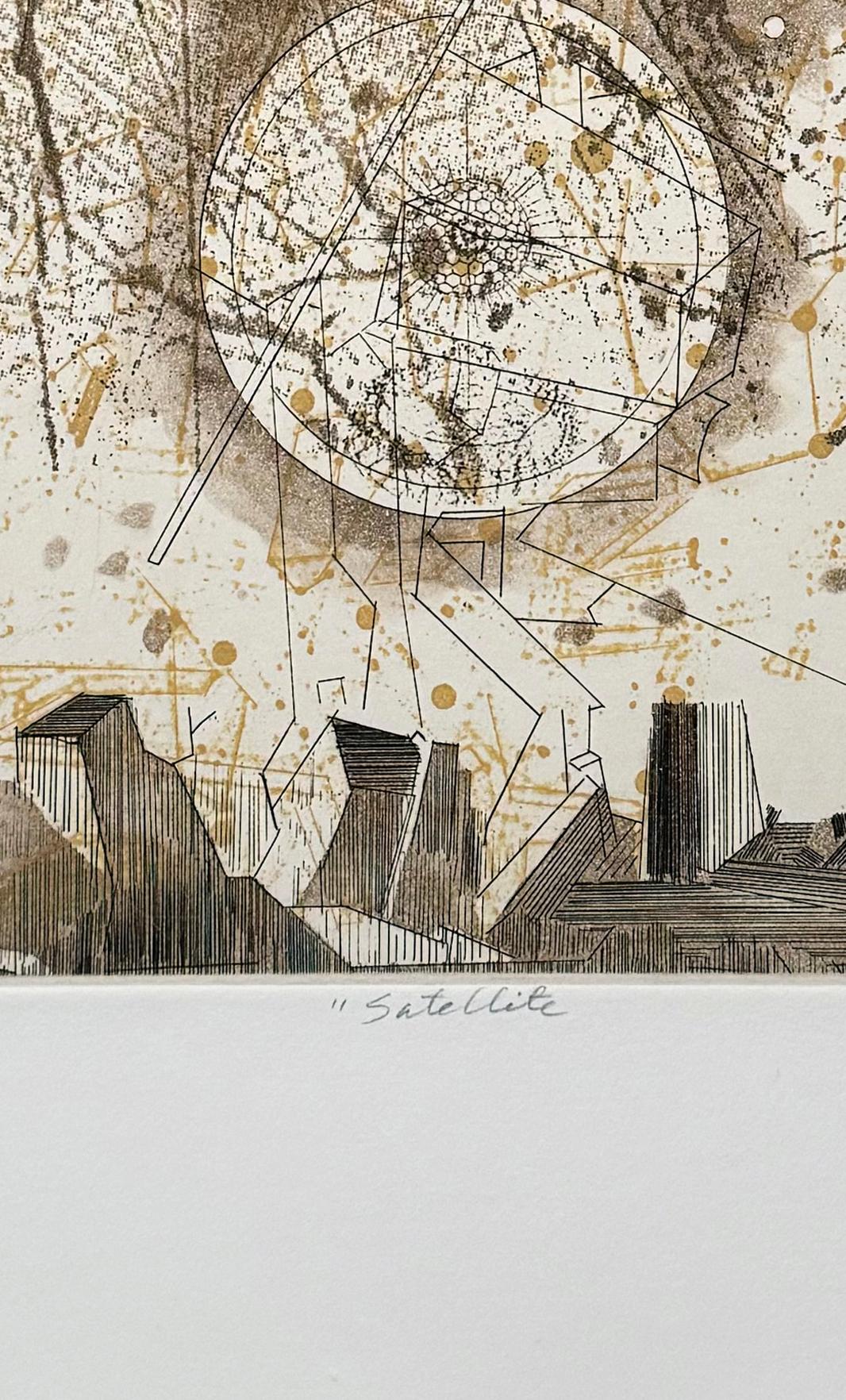 Satellite, by Rosalyn Richards For Sale 3