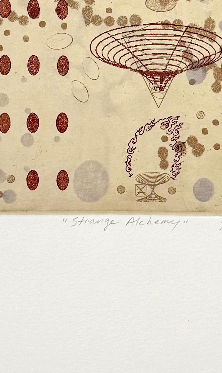 Strange Alchemy, by Rosalyn Richards For Sale 3